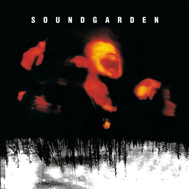 Superunknown sleeve